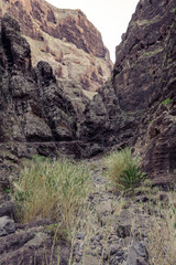 Fototapeta premium Hiking in Gorge Masca. Volcanic island. Mountains of the island of Tenerife, Canary Island, Spain.