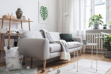 Brigt scandinavian interior with design sofa, poster, plants, bookstand, coffee table, cozy blanket and mock up frames. White background walls, brown wooden parquet and modern lamp. 