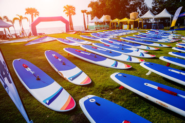 A lot of surfboards on the beach. Summer background