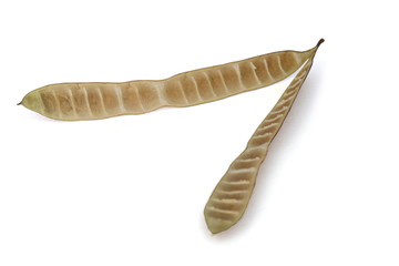 Leucaena leucocephala , white lead tree or river tamarind pod.