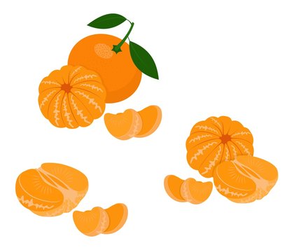 Mandarin, tangerine, clementine with leaves isolated on white background. Citrus fruit. Vector Illustration