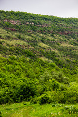 Chervona hora mountain