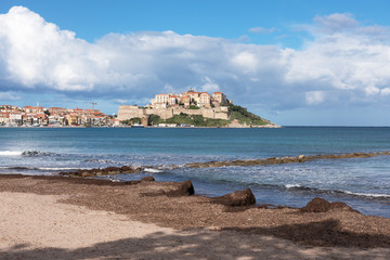 Fototapeta na wymiar View of the historic city of Calvi from a sandy beach with sea grass, Corsica, France