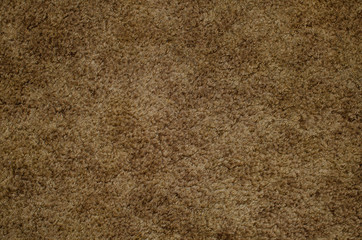 Brown carpet texture and pattern.