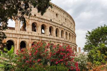 The Flavian amphitheatre with flowers- the Colosseum, Rome, Italy