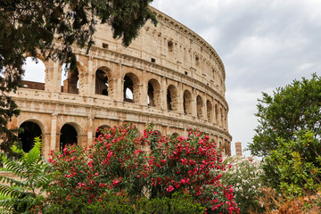 Obraz premium The Flavian amphitheatre with flowers- the Colosseum, Rome, Italy