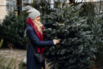 Pretty blonde girl looking for perfect Christmas tree to buy on the tree shop, outdoor. Girl using hand for check the quality, copy space - Image
