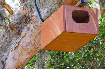 Wild Bird Nesting wooden Box on the big tree.