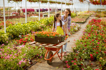 Young playful florist enjoying work while one of them riding in the cart in the greenhouse