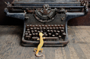 Fototapeta na wymiar Golden gecko and old typewriter