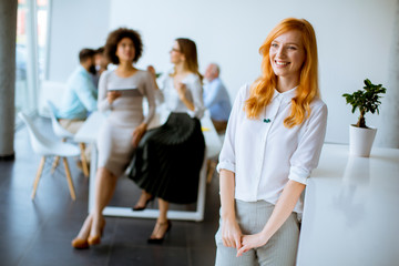 Obraz premium Business people working in modern office