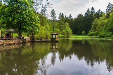 Fototapeta na wymiar Pond in Teutoburg Forest nearby Silbermuele, Germany
