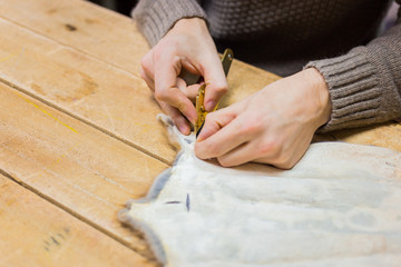 Professional male skinner, furrier working with mink fur skin at atelier, workshop. Fashion and leatherwork concept