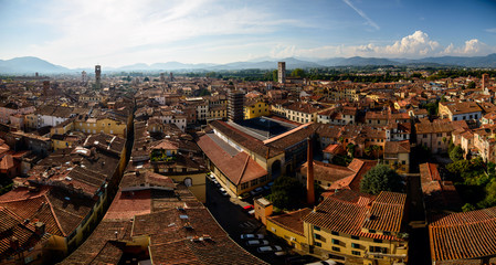 Obraz premium Landmarks of Italy - beautiful medieval town Lucca in Tuscany. City view from Guinigi tower 