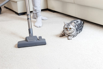 girl vacuuming the house. bright carpet and light leath sofa