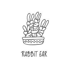 Rabbit Ear succulent plant in decorative pot in doodle style with a handwritten title.