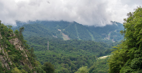Summer views of the green mountains with clouds and fog.