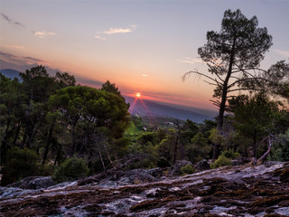 Amanecer entre pinos en la Peña Muñana.  Cadalso de los Vidrios. Madrid. España. Europa