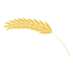 Vector illustration of wheat ear simple icon in flat style isolated on white background. Ripe yellow cereal spike - grain plant for bakery, organic farming food or beer design.