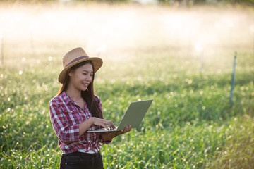 Inspection of aromatic garden quality by farmers using modern agricultural technology concepts.