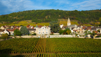 Fototapeta na wymiar Houses and nature of ancient city Saint-Aubin, Burgundy with vineyards