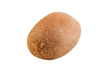 One fresh whole shaggy kiwi isolated on white background