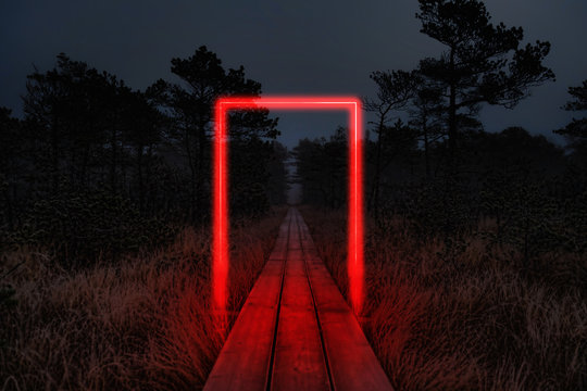 Fototapeta Road to dark wonderful forest