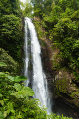 Fototapeta na wymiar Waterfall near Munduk on Bali in Indonesia