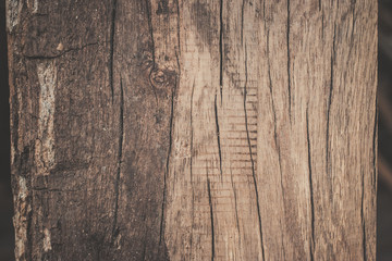 wood texture background