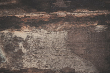wood texture background
