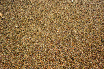 desert sand background golden texture