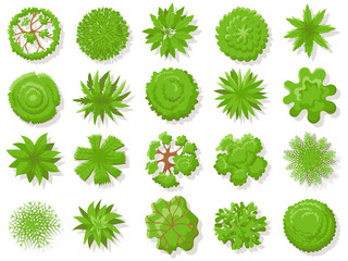 Top view plants. Tropical trees, green plant tree from above for aerial map isolated vector collection