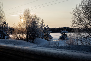 the trees are beautifully covered in snow on a frosty winter evening