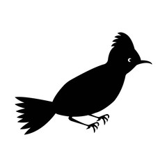 Bird flat black icon isolated on white background. Vector illustration. Bird symbol.