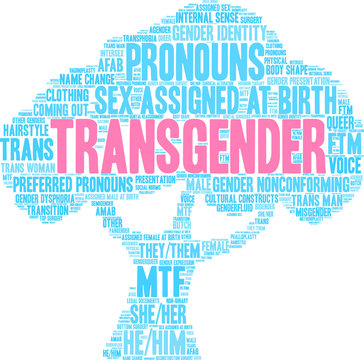Transgender Word Cloud on a white background. 