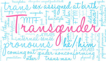 Transgender Word Cloud on a white background. 