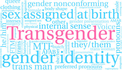 Transgender Word Cloud on a white background. 