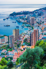 View of the city of Monaco. French Riviera © monticellllo