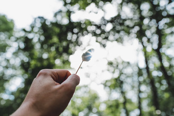 New Life in my Hand II