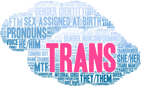 Trans Word Cloud on a white background. 