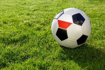 Football on a grass pitch with Poland Flag.