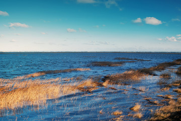 Beach dunes coastline landscape Nationalpark Vorpommersche Boddenlandschaft at sunny winter day. German Baltic Sea Darßer Ort, Weststrand coastline at Fischland-Darss-Zingst