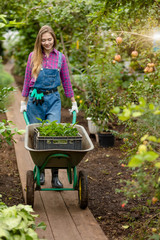 cheerful pleasant girl using a cart while working in the garden. full length photo. hobby, free time