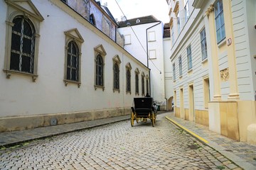 Pferde in einer Gasse in Wien
