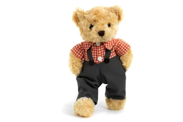 Fotobehang Dressed toy teddy bear in shirt and trousers with paws in pockets is walking on white background © Milan Lipowski