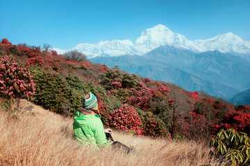 A tourist girl in a bright Nepalese hat sits against the backdrop of the snowy Himalayas and blooming rhododendrons. Beautiful view of the flowering rhododendron trees and snow mountains, Nepal