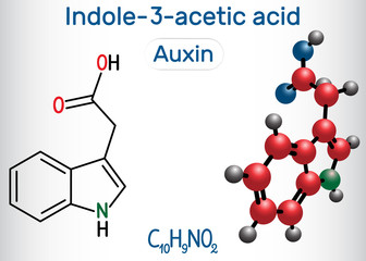 Auxin, Indole-3-acetic acid (IAA, 3-IAA). Structural chemical formula and molecule model.