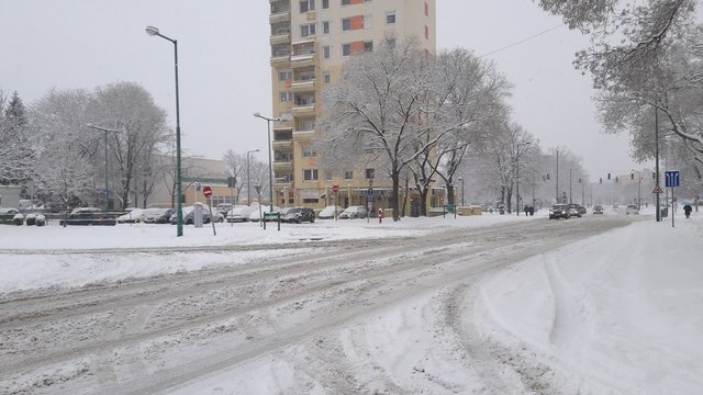 snowy streets in the city