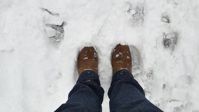 snowy streets in the city