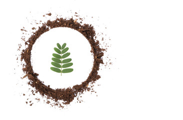 leaf in the circle of soil, conservation concepts.